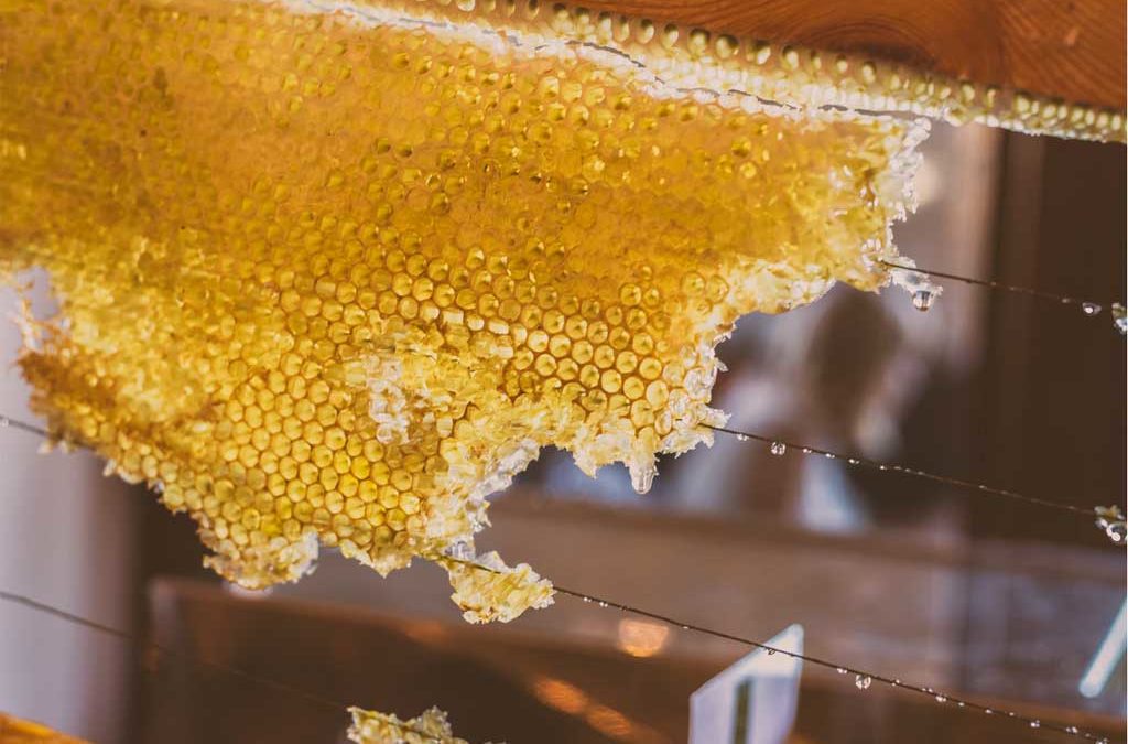 Bienfaits du miel (recettes beauté et cuisine)