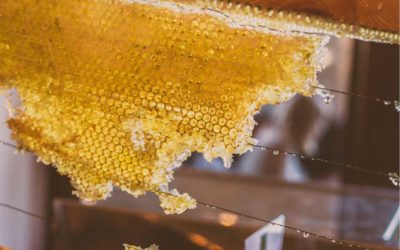 Bienfaits du miel (recettes beauté et cuisine)